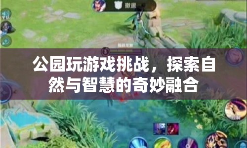 公園游戲挑戰(zhàn)，探索自然與智慧的奇妙融合  第1張