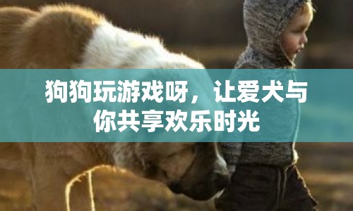 狗狗玩游戲，與寵物共享歡樂時光