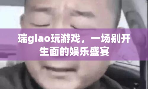 瑞giao的娛樂盛宴，一場別開生面的游戲盛宴  第1張