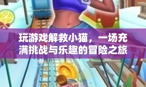 拯救小貓，一場充滿挑戰(zhàn)與樂趣的冒險之旅  第1張