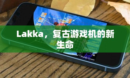 Lakka，復(fù)古游戲機(jī)的新生命  第1張