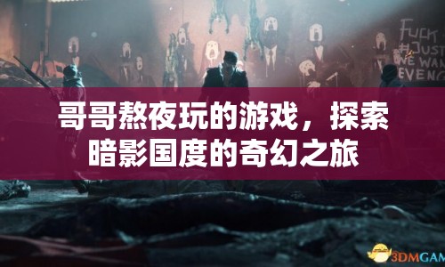 哥哥熬夜探索的奇幻游戲，暗影國度的神秘之旅  第1張