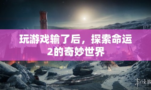 探索命運(yùn)2的奇妙世界，游戲輸后的意外之旅