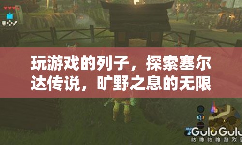 探索塞爾達(dá)傳說，曠野之息的無限可能，游戲之旅的啟示  第1張