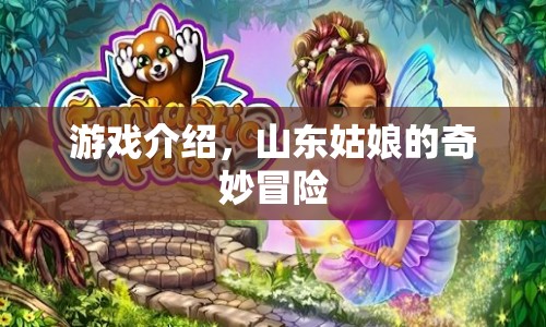 山東姑娘的奇妙冒險，探索未知，挑戰(zhàn)自我  第1張