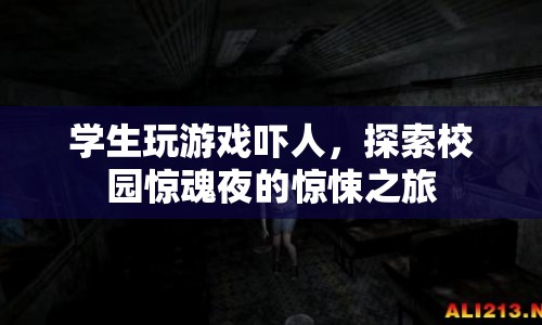 校園驚魂夜，學(xué)生玩游戲引發(fā)驚悚之旅