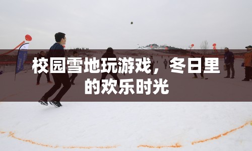 冬日校園雪地游戲，歡樂(lè)時(shí)光  第1張