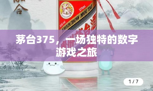 茅臺375，一場數(shù)字游戲之旅的奇妙體驗