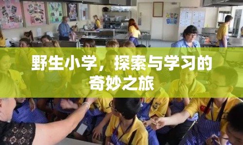 探索與學習的奇妙之旅，野生小學