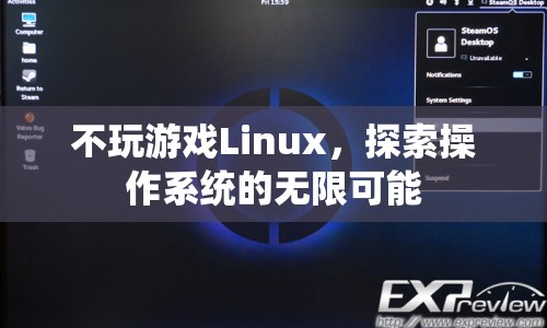 探索Linux操作系統(tǒng)的無限可能，不玩游戲也能發(fā)現(xiàn)驚喜！  第1張