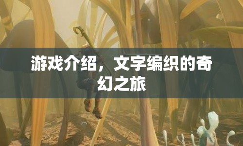 文字編織的奇幻之旅，一場(chǎng)游戲盛宴  第1張