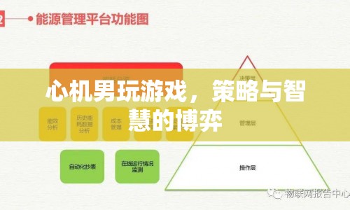 心機(jī)男智斗游戲，策略與智慧的巔峰博弈  第1張