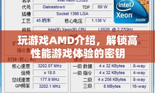 解鎖高性能游戲體驗，AMD游戲處理器全解析