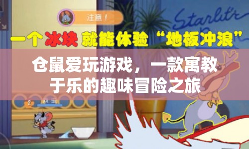 寓教于樂(lè)，倉(cāng)鼠愛(ài)玩游戲，開啟趣味冒險(xiǎn)之旅  第1張