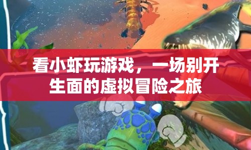 小蝦的虛擬冒險(xiǎn)之旅，一場別開生面的游戲盛宴