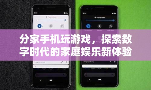分家手機玩游戲，探索數(shù)字時代家庭娛樂新體驗  第1張