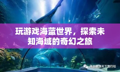 探索未知海域，海藍(lán)世界的奇幻之旅  第1張