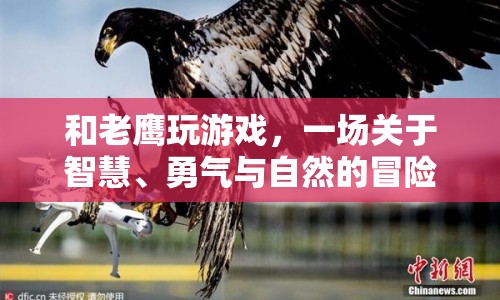 與老鷹共舞，智慧、勇氣與自然的冒險(xiǎn)之旅  第1張