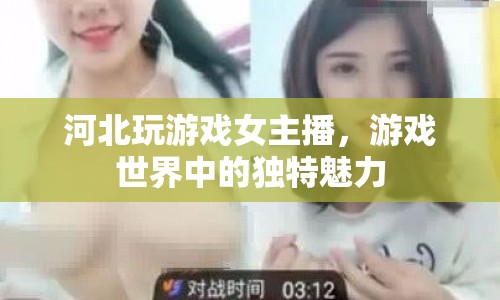 河北女主播，游戲世界中的獨(dú)特魅力