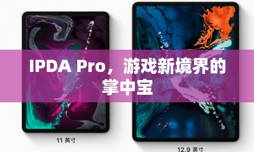 IPDA Pro，游戲新境界的掌中寶  第1張