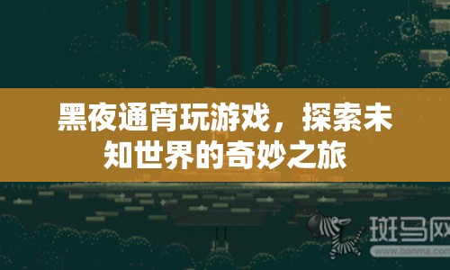 探索未知世界的奇妙之旅，黑夜通宵玩游戲  第1張