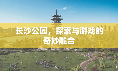 長(zhǎng)沙公園，探索與游戲的奇妙融合之地