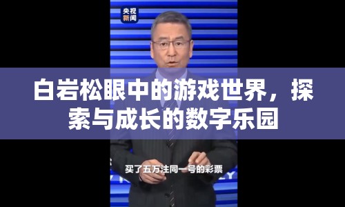 白巖松眼中的游戲世界，探索與成長的數(shù)字樂園