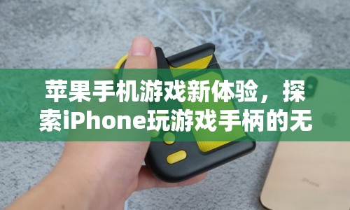 蘋果手機(jī)游戲新體驗(yàn)，探索iPhone玩游戲手柄的無(wú)限可能  第1張