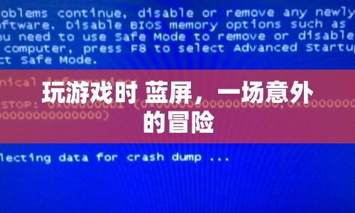 游戲藍(lán)屏，一場(chǎng)意外的冒險(xiǎn)之旅