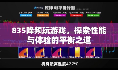 835降頻玩游戲，探索性能與體驗的平衡之道  第1張