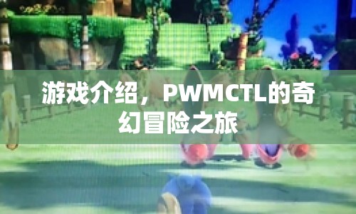 PWMCTL的奇幻冒險之旅，一場精彩絕倫的游戲之旅  第1張