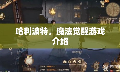 哈利波特，魔法覺醒游戲全解析  第1張