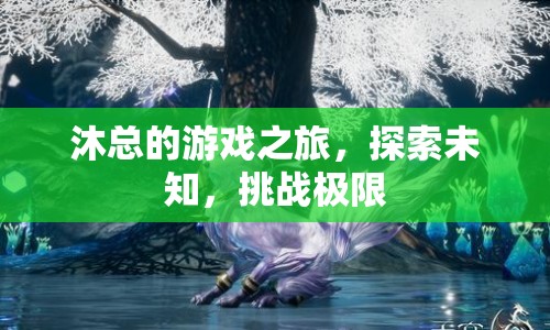 沐總的游戲之旅，探索未知，挑戰(zhàn)極限