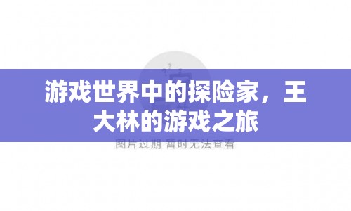 王大林，游戲世界中的探險(xiǎn)家之旅