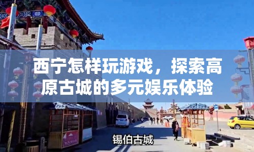 探索西寧多元娛樂，高原古城的游戲之旅  第1張