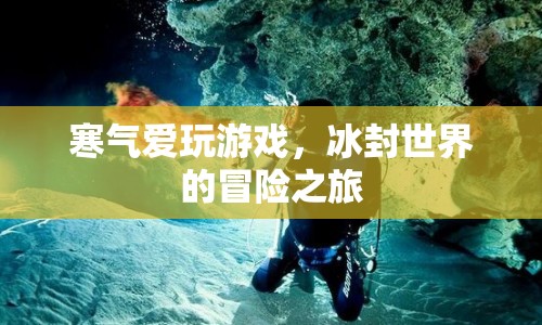 冰封世界的冒險(xiǎn)之旅，寒氣愛(ài)玩游戲