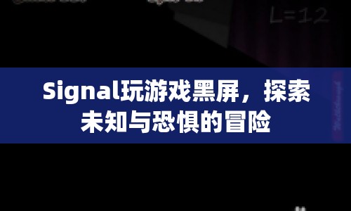 探索未知與恐懼的冒險，Signal游戲黑屏之謎