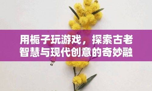 梔子游戲，古老智慧與現(xiàn)代創(chuàng)意的奇妙碰撞  第1張