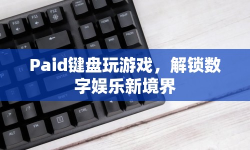 付費鍵盤解鎖數(shù)字娛樂新境界