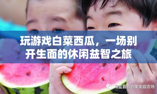 一場別開生面的休閑益智之旅，玩游戲白菜西瓜