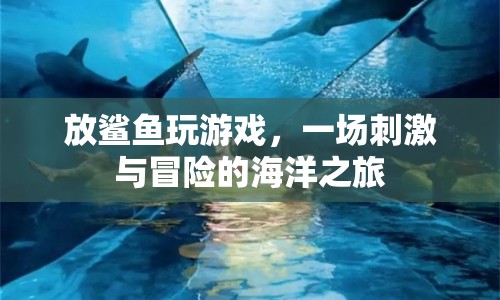 放鯊魚玩游戲，一場(chǎng)刺激與冒險(xiǎn)的海洋之旅