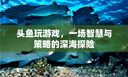 頭魚智慧深海探險(xiǎn)，策略與智慧的碰撞