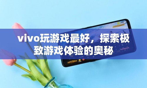 vivo，探索極致游戲體驗(yàn)的奧秘