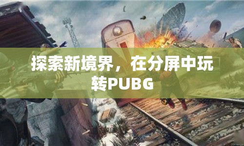 在分屏中玩轉(zhuǎn)PUBG，探索新境界