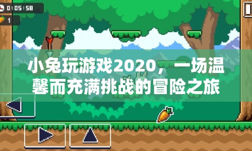 小兔玩游戲2020，溫馨挑戰(zhàn)，冒險之旅開啟