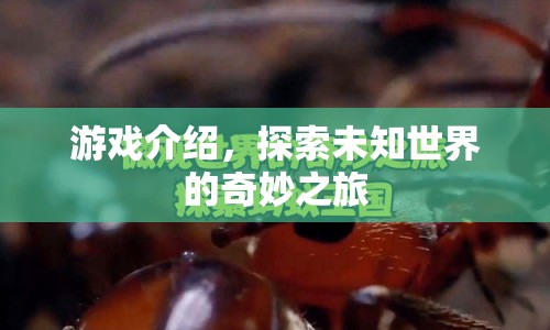 探索未知世界的奇妙之旅，一場精彩絕倫的游戲之旅