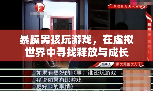 暴躁男孩在虛擬游戲中尋找釋放與成長之路  第1張