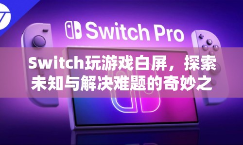 Switch游戲白屏，探索未知與解決難題的奇妙之旅  第1張