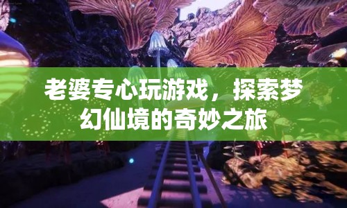 老婆的夢幻仙境之旅，專注游戲，探索奇妙世界