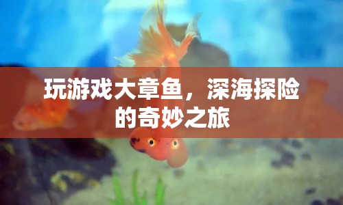 大章魚深海探險(xiǎn)，奇妙之旅開啟